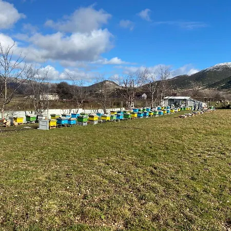 Progon House Maison d'hôtes Tepelene