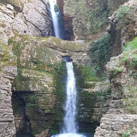 Maison d'hôtes Progon House *