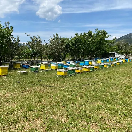 Progon House Maison d'hôtes *