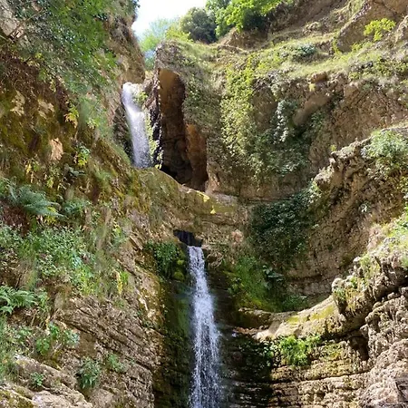 בית הארחה Progon House *