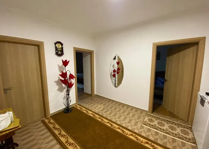 Progon House * Tepelene
