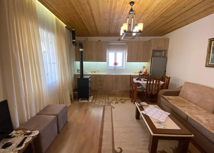 Progon House * Tepelene