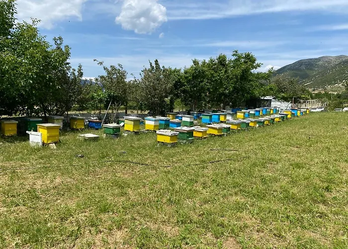 Progon House Konukevi *