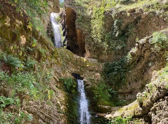 게스트하우스 Progon House *