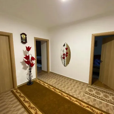 Progon House * Tepelena