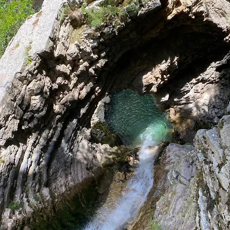 Progon House Tepelene