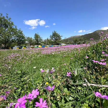 Progon House 招待所