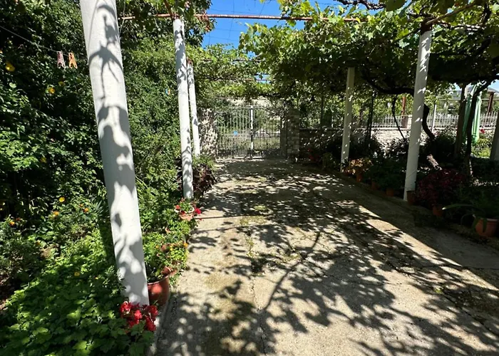 Progon House Guest house Tepelene